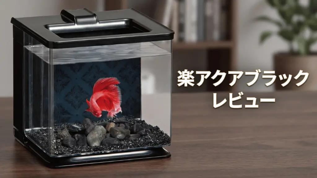 楽アクアブラックレビュー！メリットとデメリットを解説