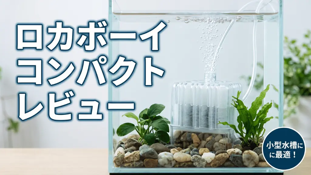 ロカボーイコンパクトレビュー！メリットとデメリットを解説