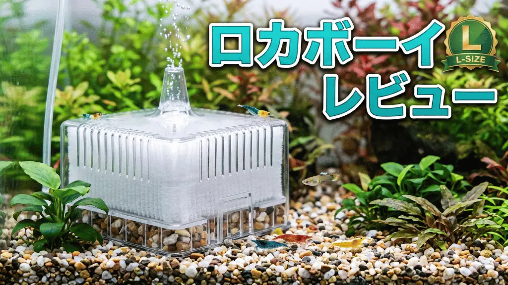 ロカボーイLレビュー!メリットとデメリットを解説