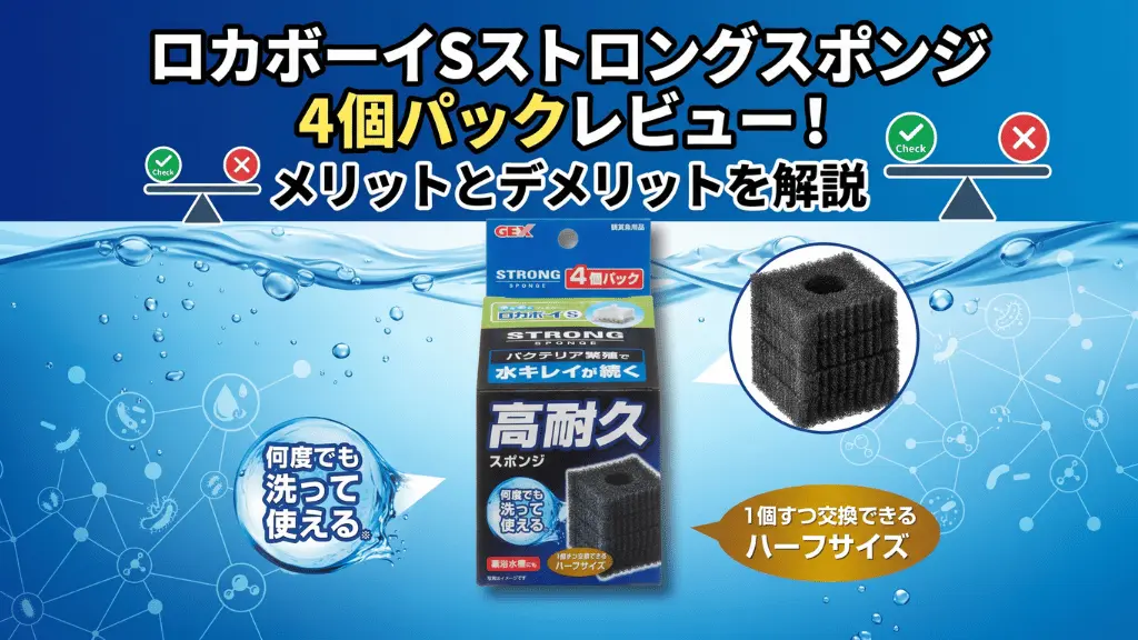 ロカボーイSストロングスポンジ4個パックレビュー！メリットとデメリットを解説