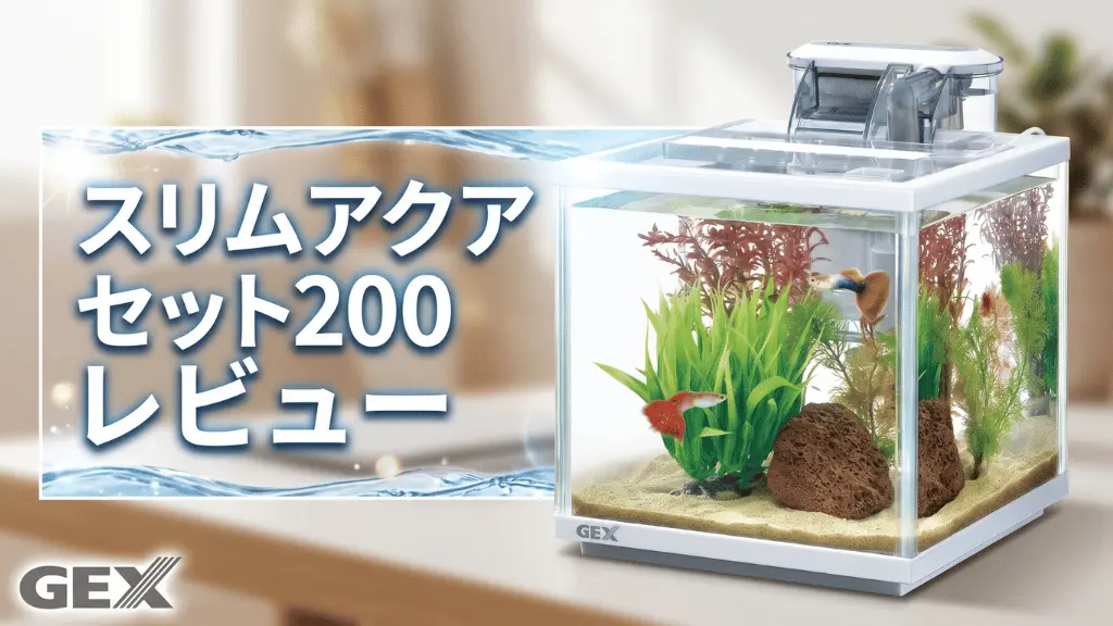 スリムアクアセット200レビュー！メリットとデメリットを解説