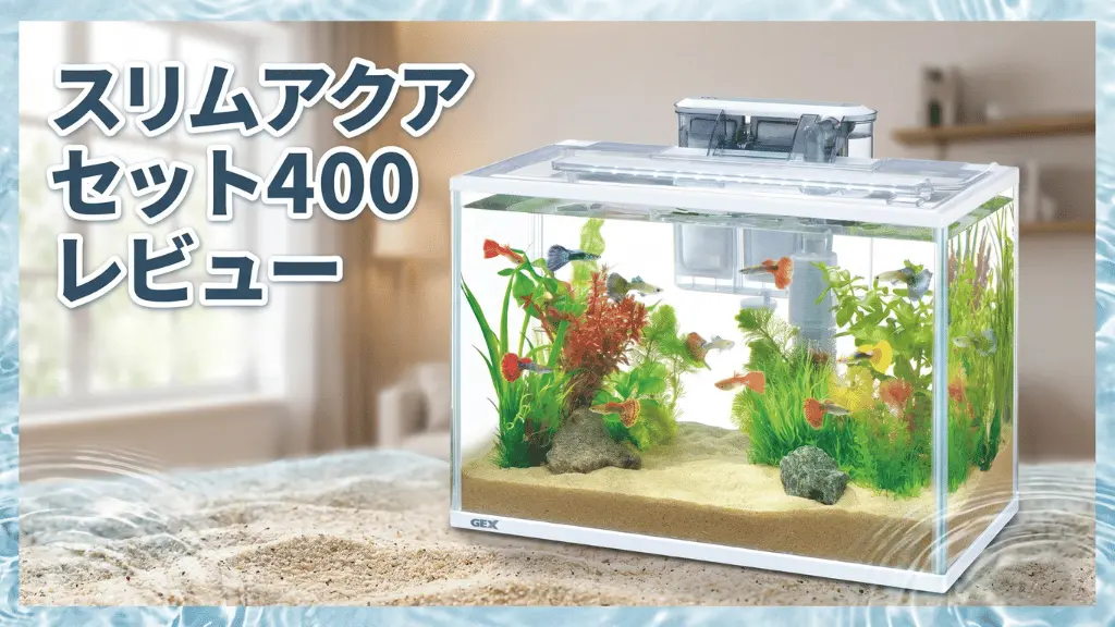 スリムアクアセット400レビュー！メリットとデメリットを解説