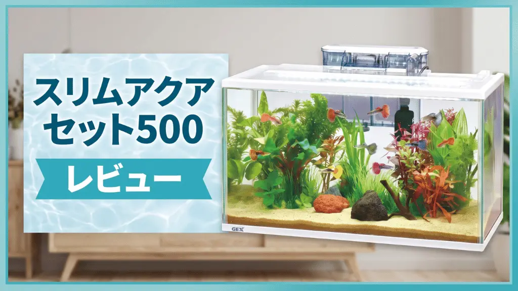 スリムアクアセット500レビュー！メリットとデメリットを解説