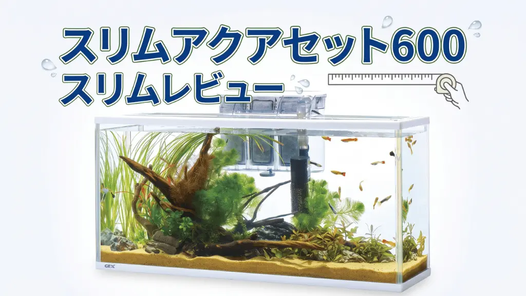 スリムアクアセット600スリムレビュー！メリットとデメリットを解説