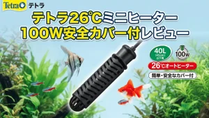 テトラ26℃ミニヒーター100W安全カバー付レビュー！メリットとデメリットを解説