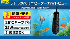 テトラ26℃ミニヒーター35Wレビュー！メリットとデメリットを解説
