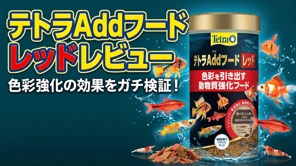 テトラAddフードレッドレビュー！メリットとデメリットを解説