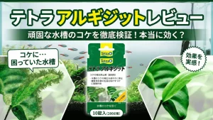 テトラアルギジットレビュー！メリットとデメリットを解説
