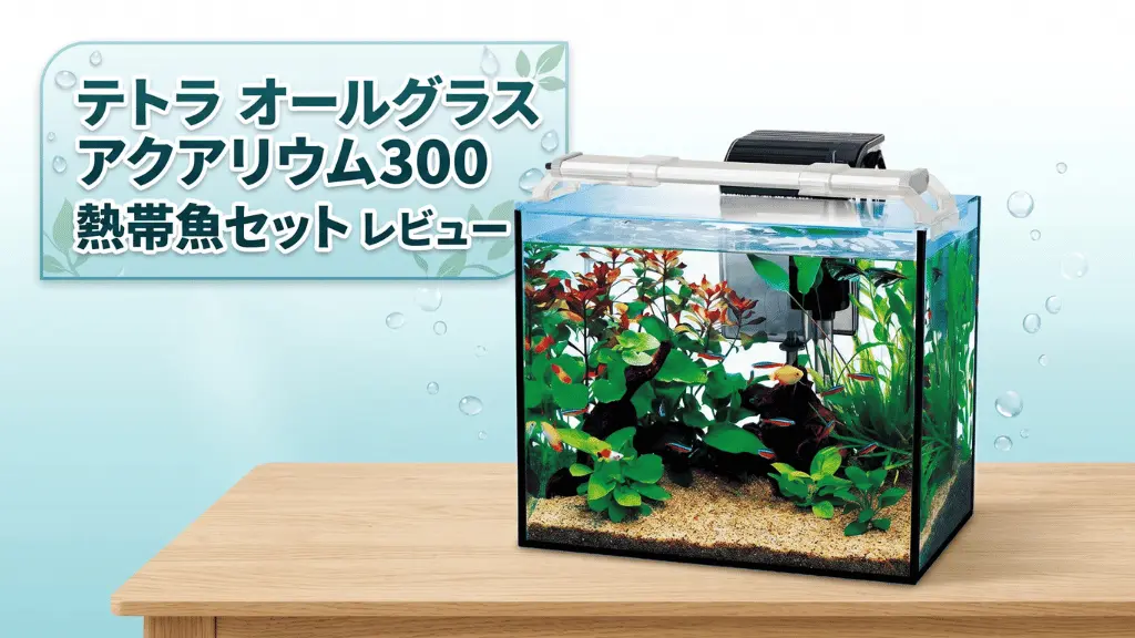 テトラオールグラスアクアリウム300熱帯魚セットレビュー！メリットとデメリットを解説