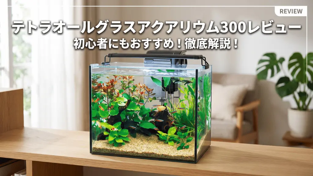 テトラオールグラスアクアリウム300レビュー！メリットとデメリットを解説