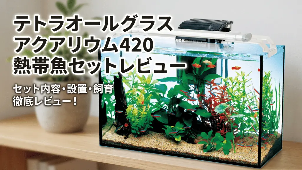 テトラオールグラスアクアリウム420熱帯魚セットレビュー！メリットとデメリットを解説
