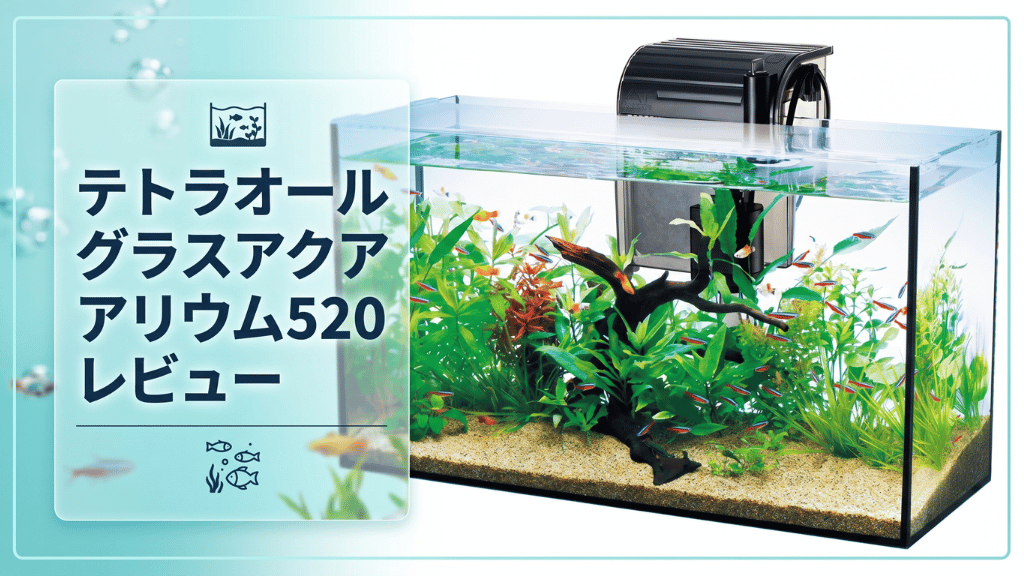 テトラオールグラスアクアリウム520レビュー！メリットとデメリットを解説