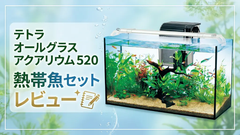 テトラオールグラスアクアリウム520熱帯魚セットレビュー！メリットとデメリットを解説