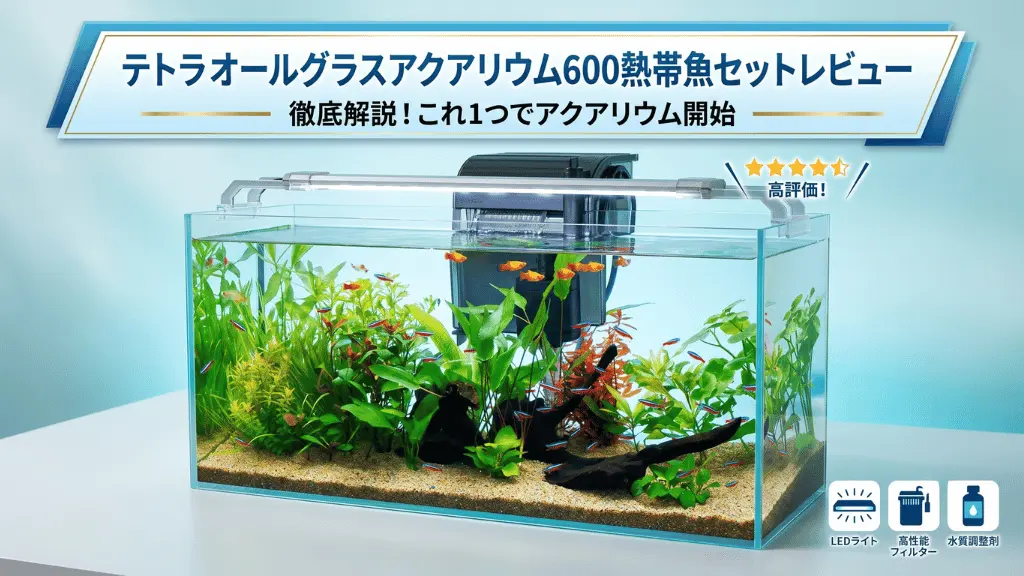 テトラオールグラスアクアリウム600熱帯魚セットレビュー！メリットとデメリットを解説