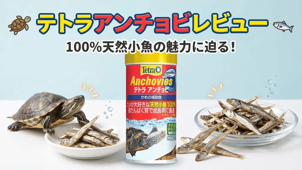 テトラアンチョビレビュー！メリットとデメリットを解説