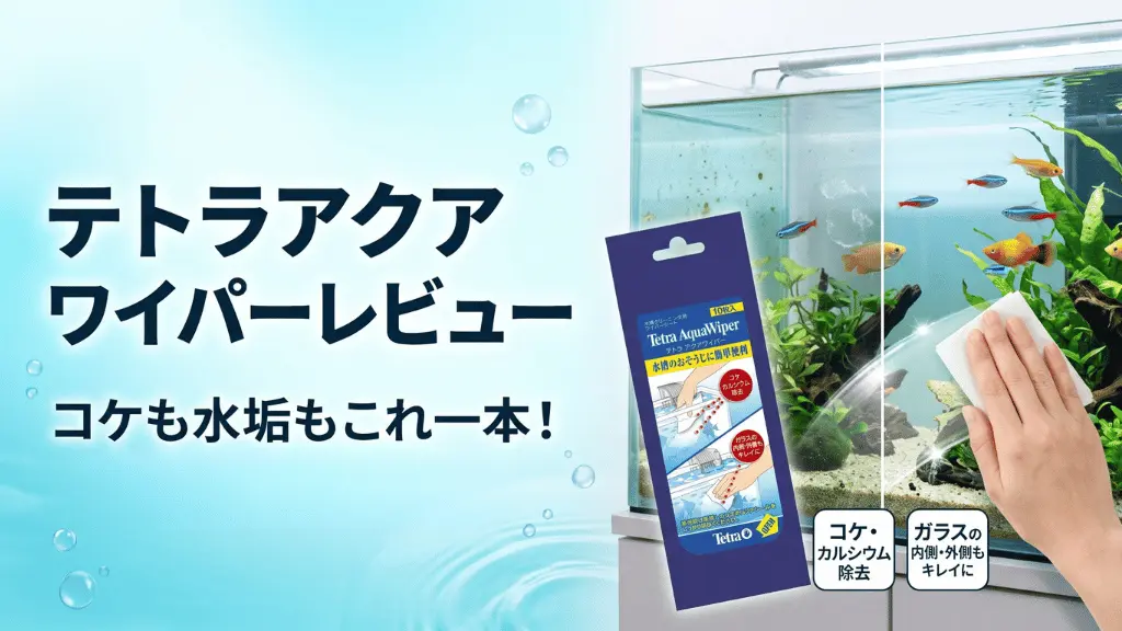 テトラアクアワイパーレビュー！メリットとデメリットを解説