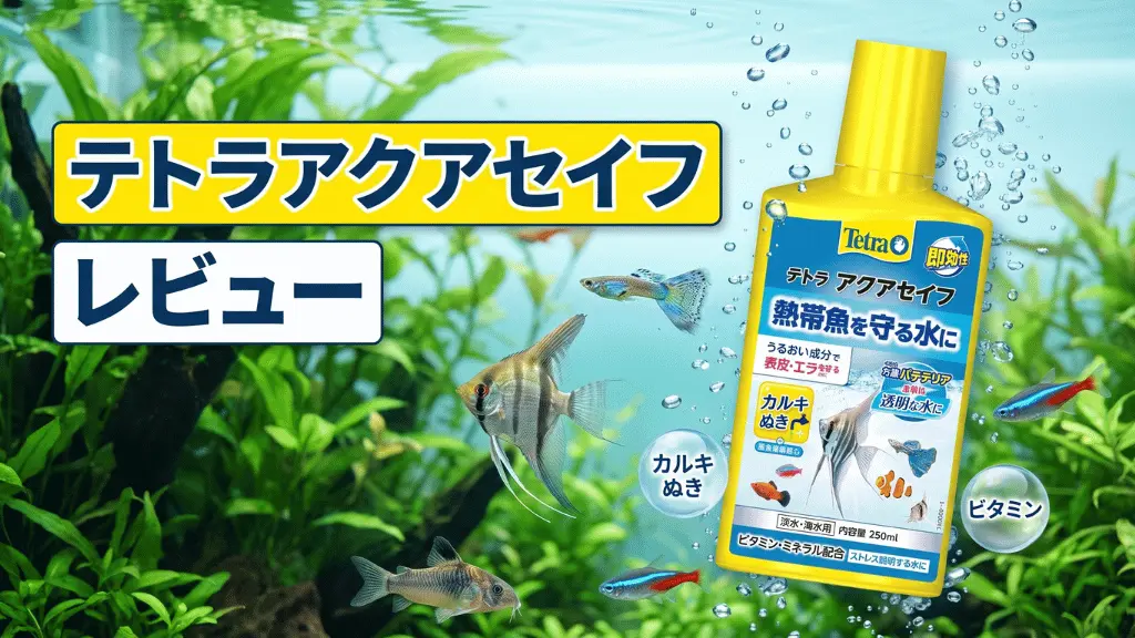 テトラアクアセイフレビュー！メリットとデメリットを解説