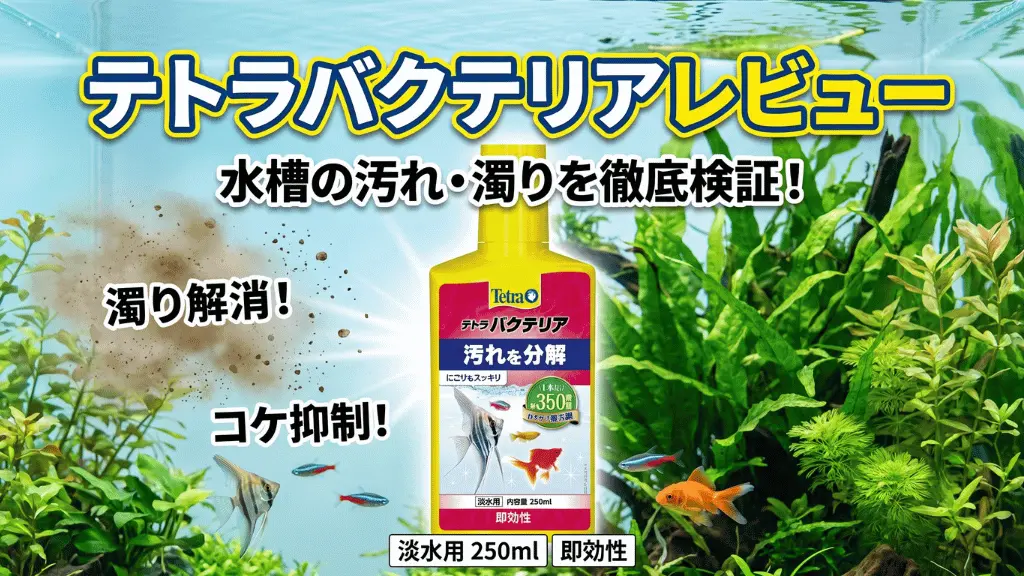 テトラバクテリアレビュー！メリットとデメリットを解説