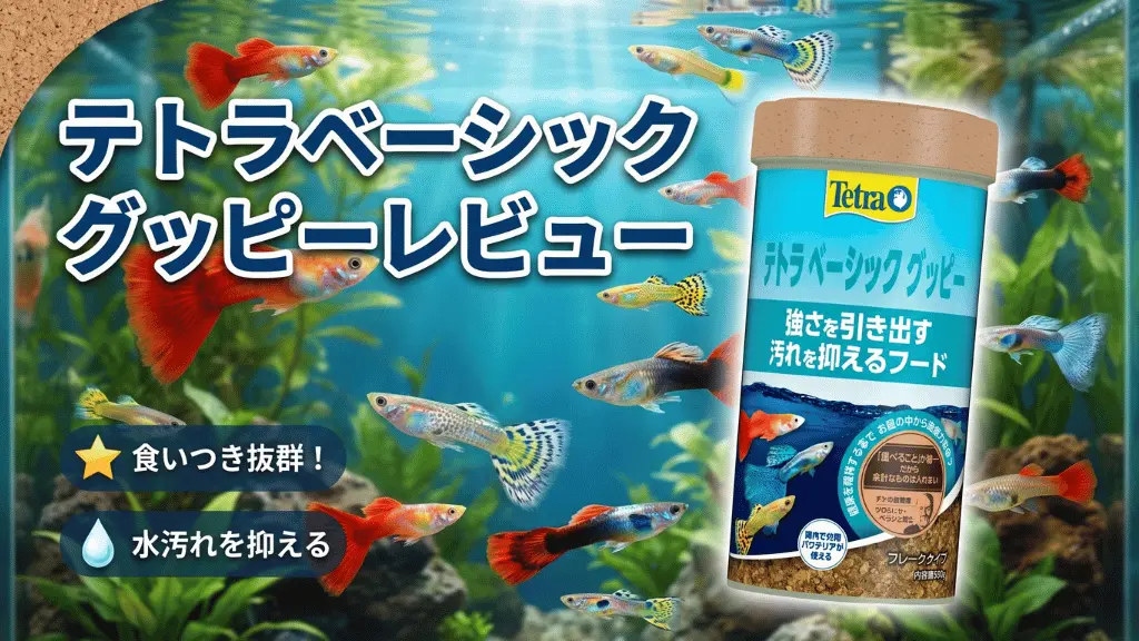 テトラベーシックグッピーレビュー!メリットとデメリットを解説