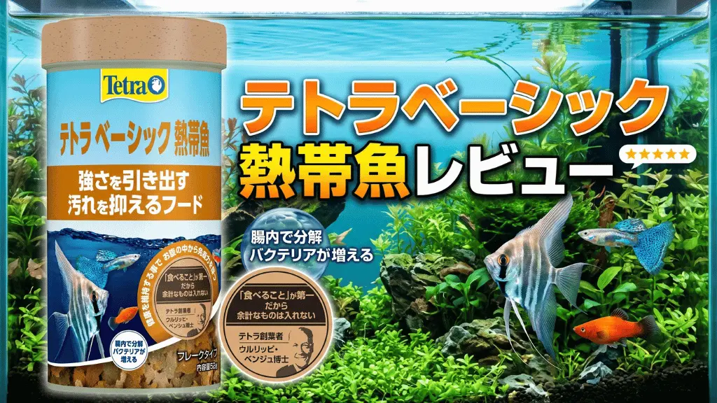 テトラベーシック熱帯魚レビュー!メリットとデメリットを解説