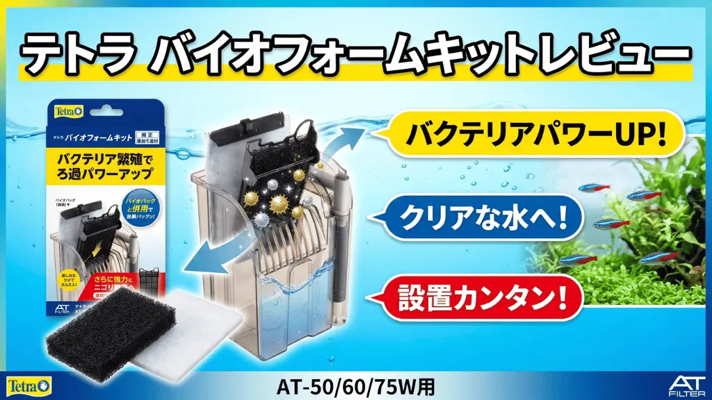 テトラバイオフォームキットレビュー！メリットとデメリットを解説