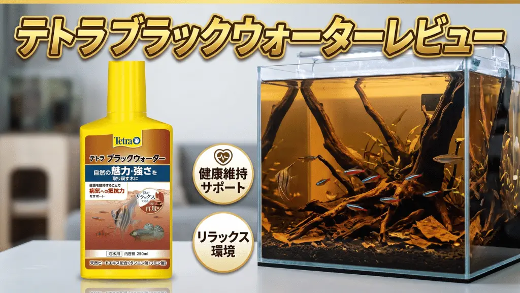 テトラブラックウォーターレビュー！メリットとデメリットを解説