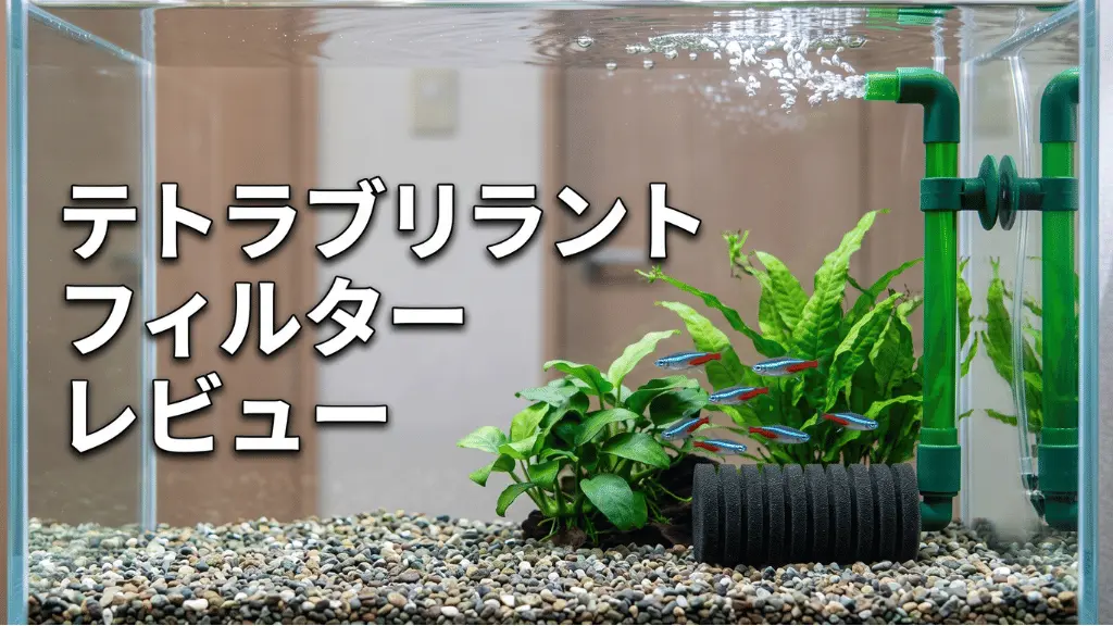 テトラブリラントフィルターレビュー！メリットとデメリットを解説