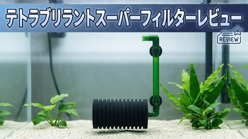 テトラブリラントスーパーフィルターレビュー！メリットとデメリットを解説