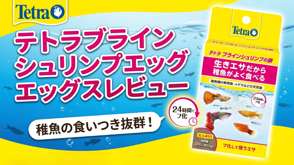 テトラブラインシュリンプエッグスレビュー!メリットとデメリットを解説