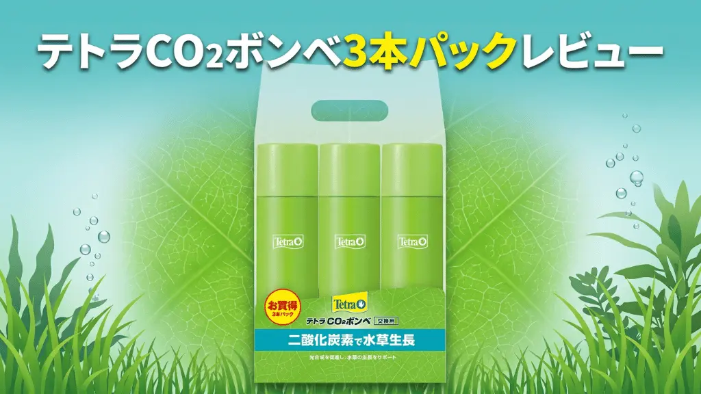 テトラCO2ボンベ3本パックレビュー！メリットとデメリットを解説