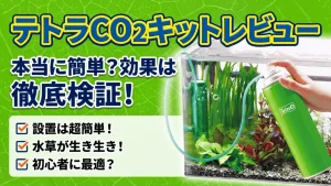 テトラCO2キットレビュー！メリットとデメリットを解説