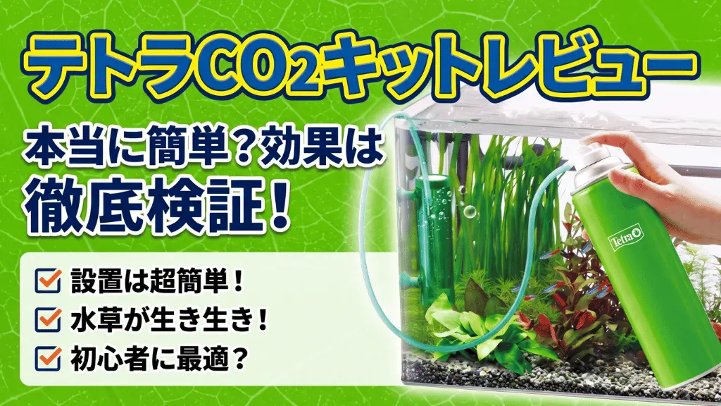 テトラCO2キットレビュー！メリットとデメリットを解説