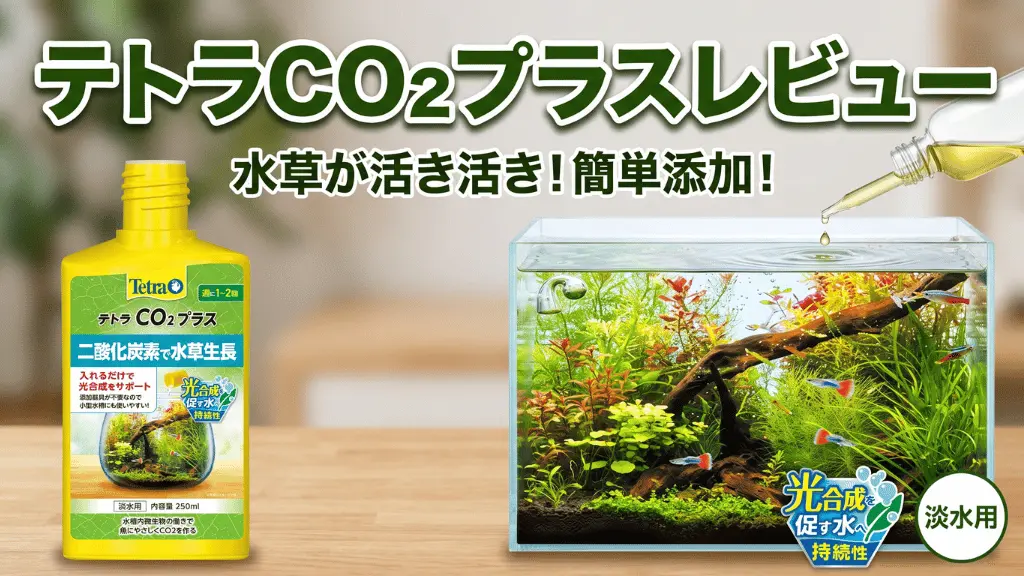 テトラCO2プラスレビュー！メリットとデメリットを解説