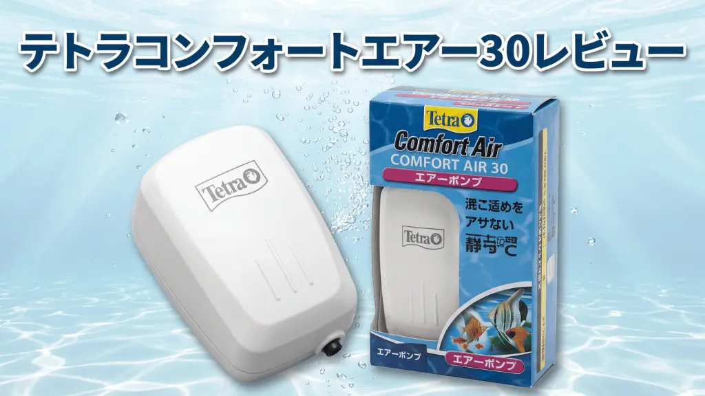 テトラコンフォートエアー30レビュー！メリットとデメリットを解説