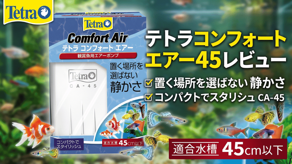 テトラコンフォートエアー45レビュー！メリットとデメリットを解説