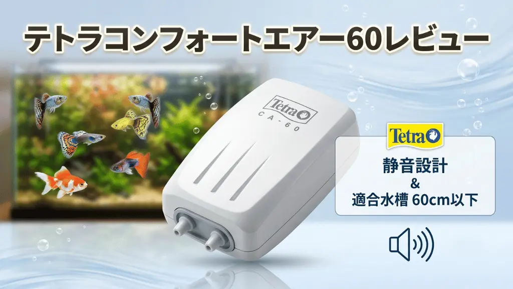 テトラコンフォートエアー60レビュー！メリットとデメリットを解説