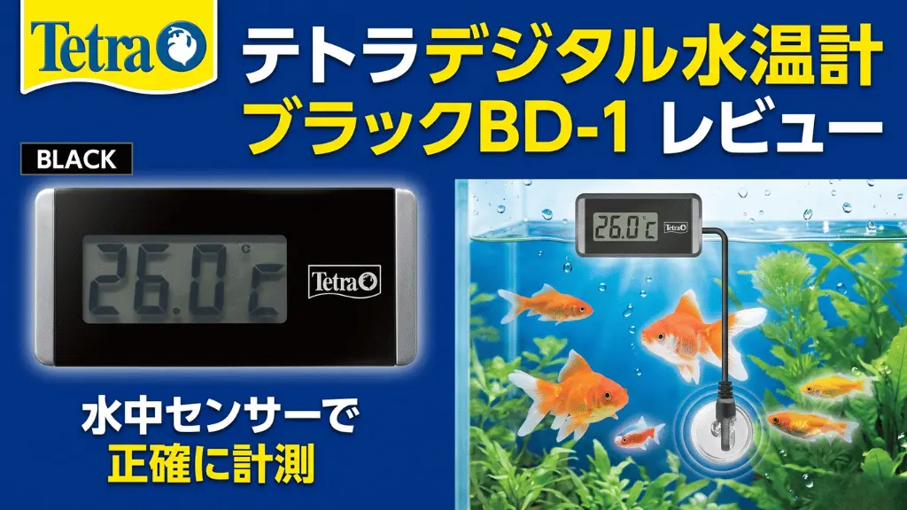 テトラデジタル水温計ブラックBD-1レビュー！メリットとデメリットを解説