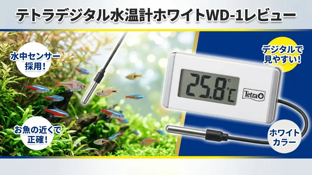 テトラデジタル水温計ホワイトWD-1レビュー！メリットとデメリットを解説
