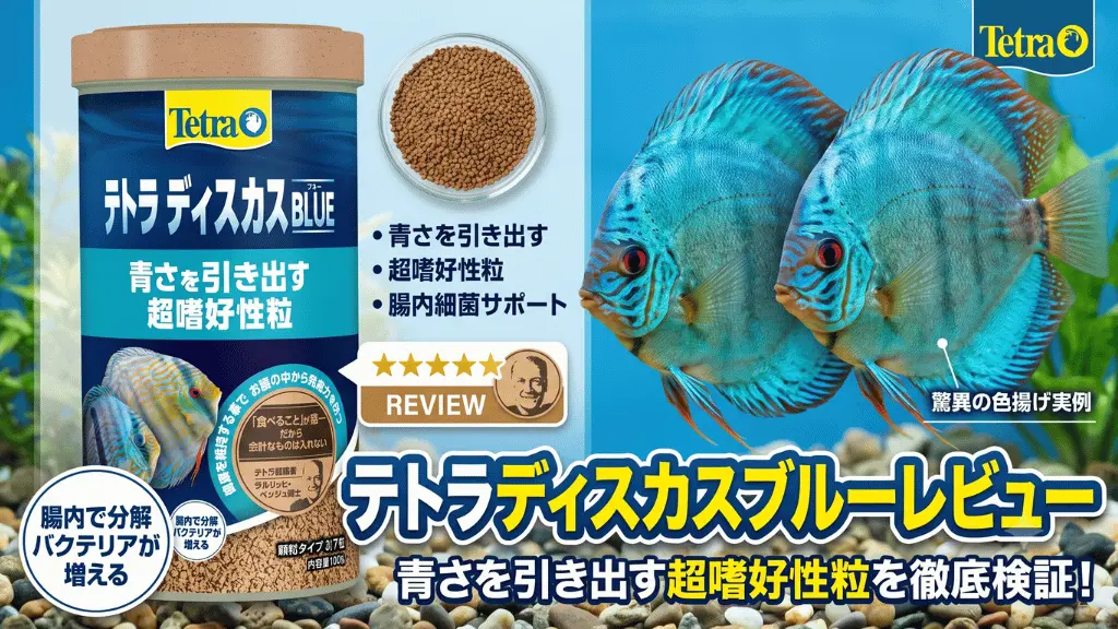 テトラディスカスブルーレビュー!メリットとデメリットを解説