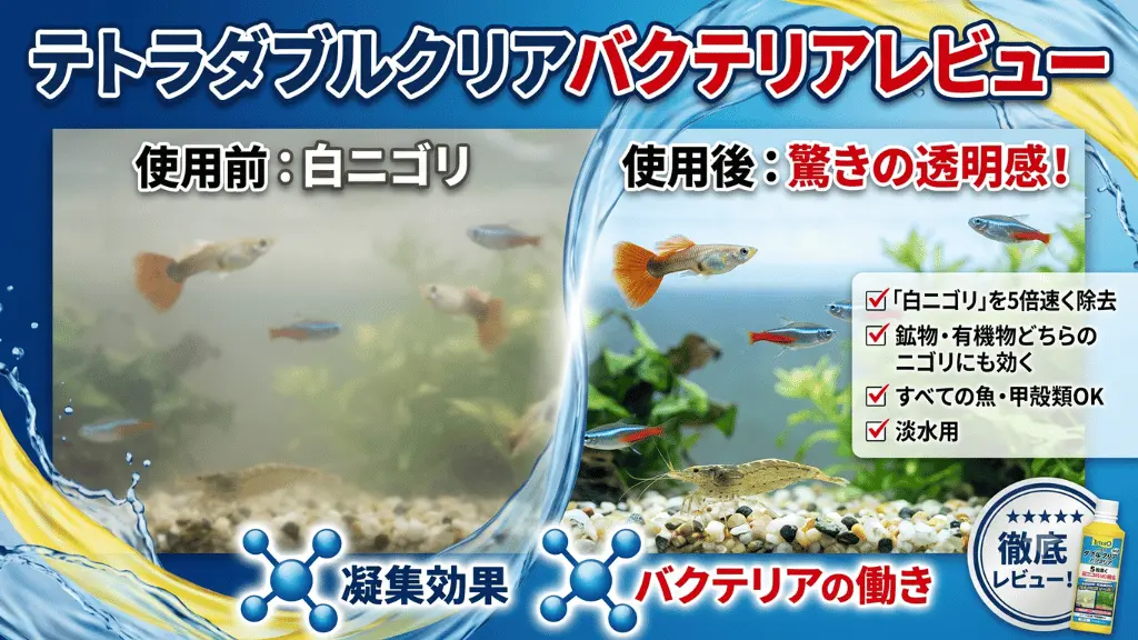 テトラダブルクリアバクテリアレビュー！メリットとデメリットを解説