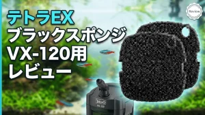 テトラEXブラックスポンジVX-120用レビュー！メリットとデメリットを解説