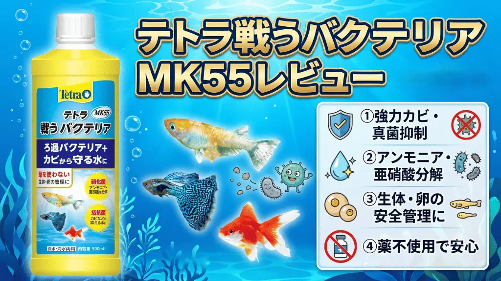 テトラ戦うバクテリアMK55レビュー！メリットとデメリットを解説