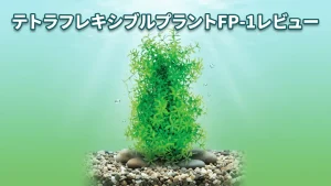 テトラフレキシブルプラントFP-1レビュー！メリットとデメリットを解説
