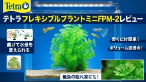 テトラフレキシブルプラントミニFPM-2レビュー！メリットとデメリットを解説