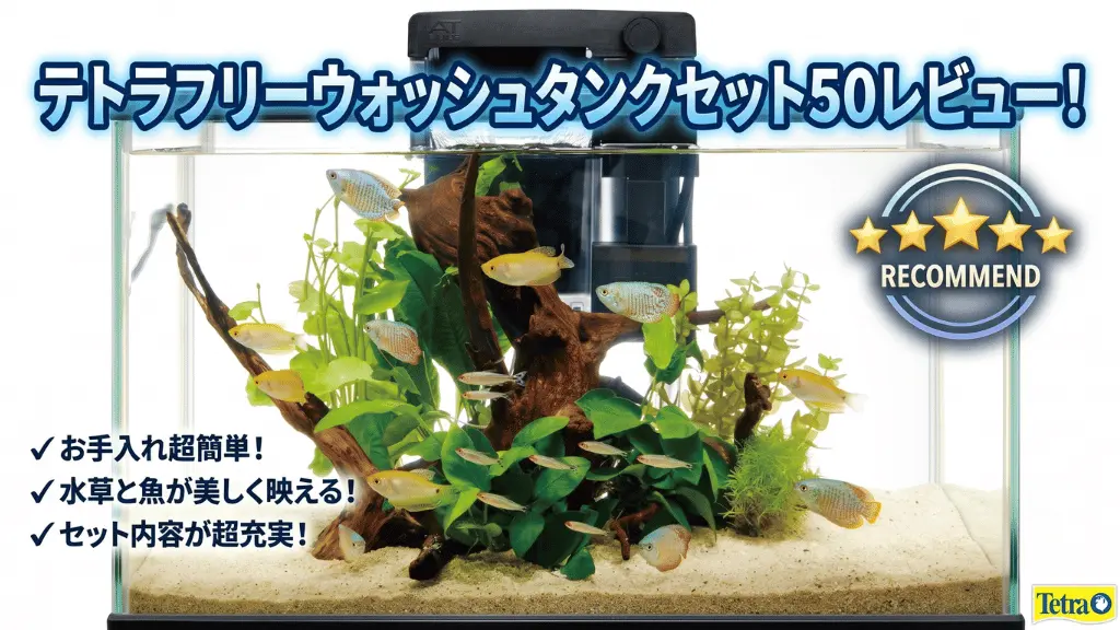 テトラフリーウォッシュタンクセット50レビュー！メリットとデメリットを解説