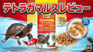 テトラガマルスレビュー！メリットとデメリットを解説