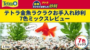 テトラ金魚ラクラクお手入れ砂利7色ミックスレビュー！メリットとデメリットを解説