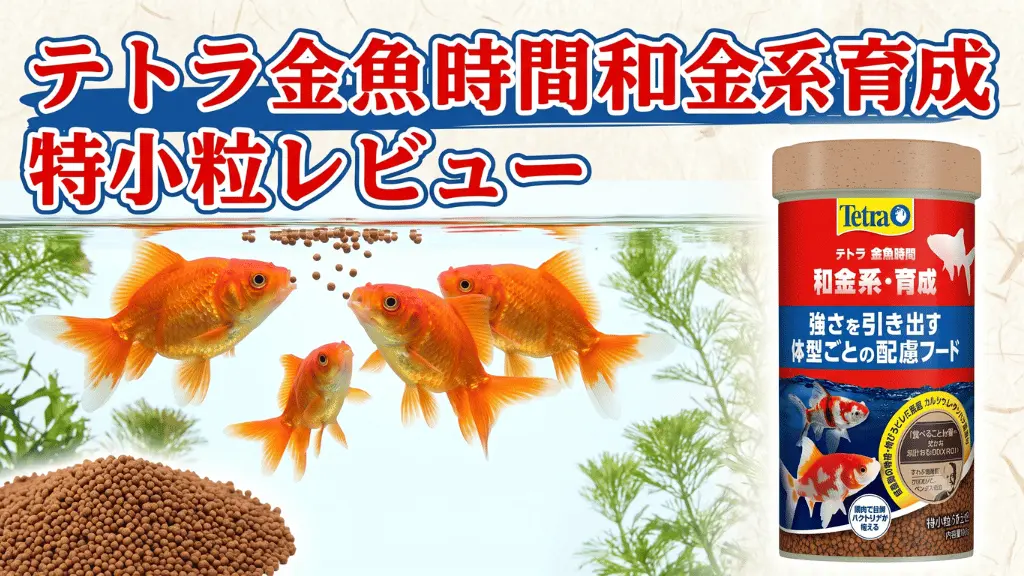 テトラ金魚時間和金系育成特小粒レビュー！メリットとデメリットを解説
