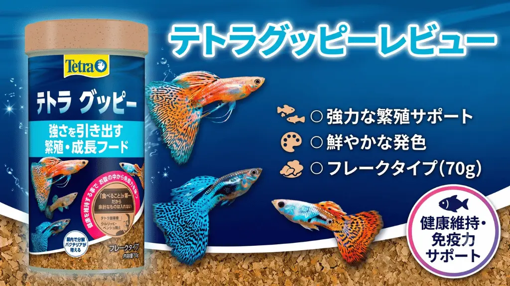 テトラグッピーレビュー！メリットとデメリットを解説