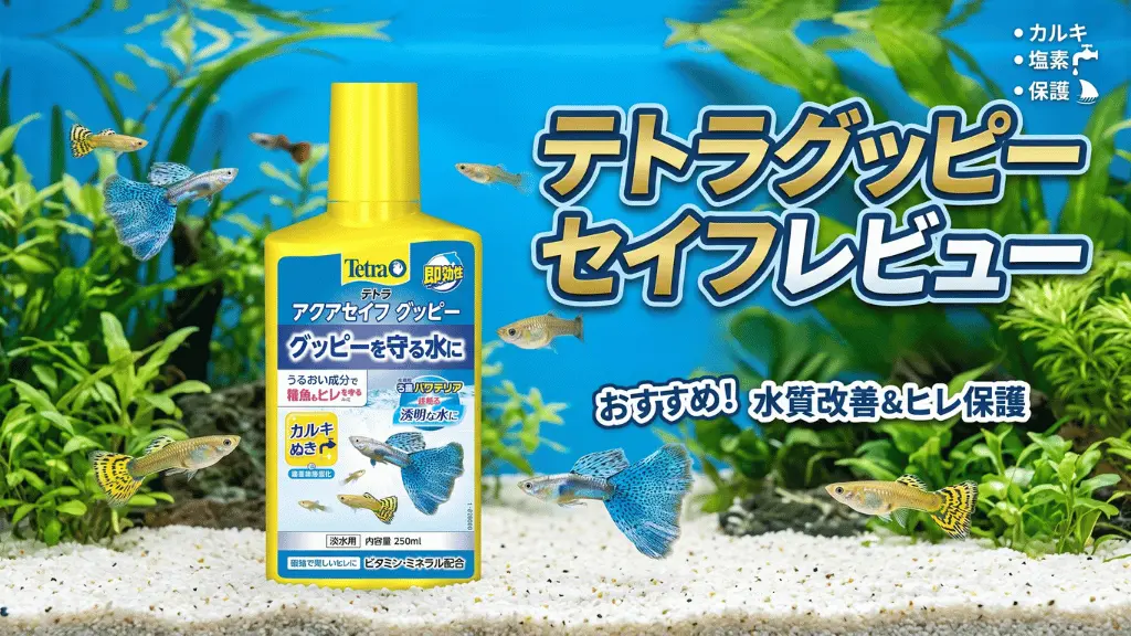 テトラグッピーセイフレビュー!メリットとデメリットを解説